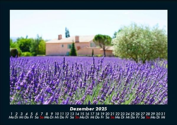 Produktbild: Blumentr&auml;ume 2025 Fotokalender DIN A5