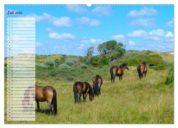 Produktbild: Egmond aan Zee (Wandkalender 2026 DIN A2 quer), CALVENDO Monatskalender