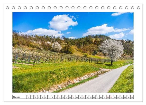 Produktbild: Das Weinviertel - Im Norden von Wien (Tischkalender 2026 DIN A5 quer), CALVENDO Monatskalender