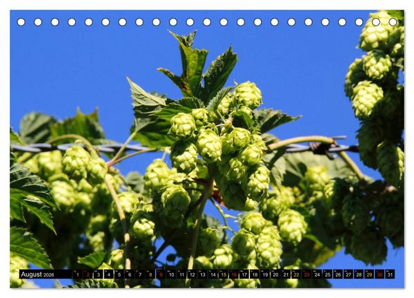 Produktbild: Biergenuss zu jeder Jahreszeit (Tischkalender 2026 DIN A5 quer), CALVENDO Monatskalender