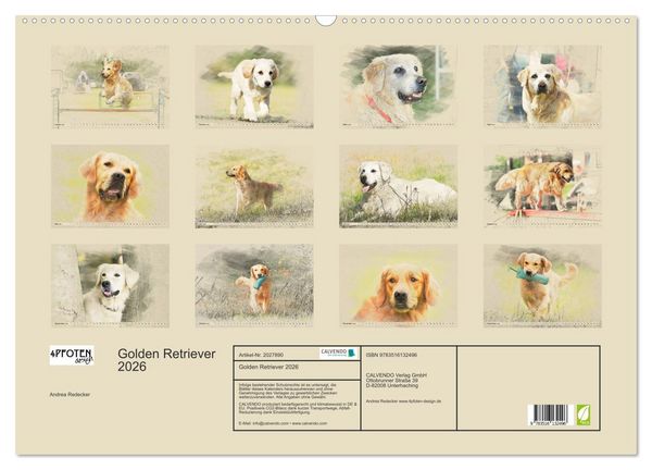 Produktbild: Golden Retriever 2026 (Wandkalender 2026 DIN A2 quer), CALVENDO Monatskalender