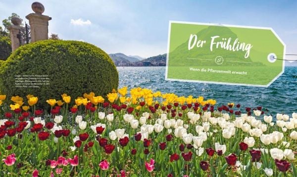 Produktbild: 52 x Natur pur