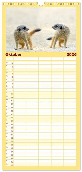 Produktbild: Familienplaner 2026 - Lustige Erdm&auml;nnchen mit 5 Spalten (Wandkalender, 21 x 45 cm) CALVENDO
