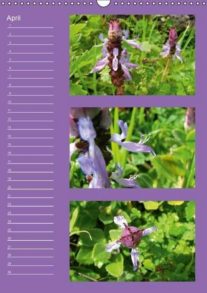 Produktbild: Zauberwelt der Blumen - Eiskristalle & Wasserperlen / Geburtstagskalender (Wandkalender immerw&auml;hrend DIN A3 hoch)