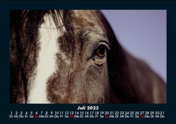 Produktbild: Die Welt der Pferde 2025 Fotokalender DIN A5