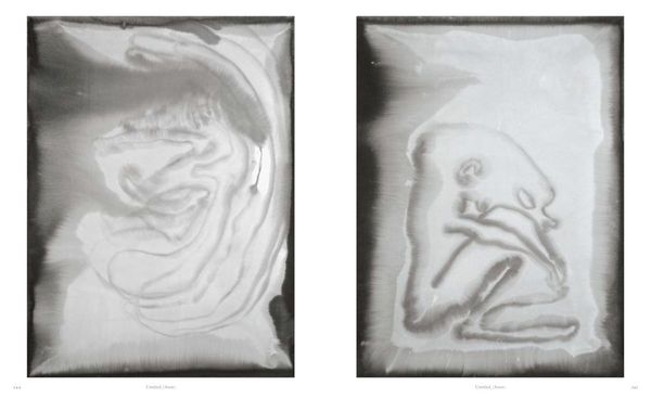 Produktbild: Camille Henrot