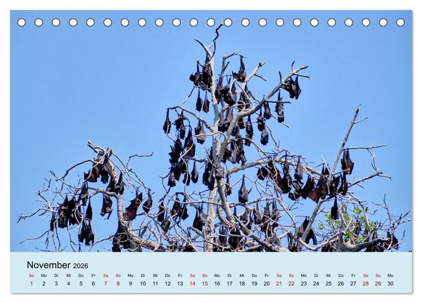 Produktbild: Indonesien - Die kleinen Sundainseln (Tischkalender 2026 DIN A5 quer), CALVENDO Monatskalender