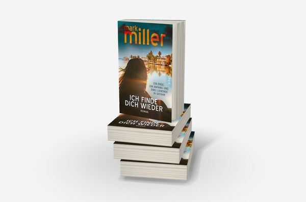 Produktbild: Ich finde dich wieder