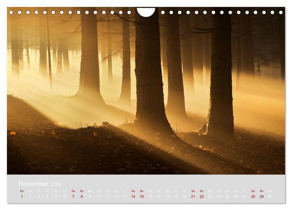 Produktbild: Im Lichtglanz der Jahreszeiten (Wandkalender 2026 DIN A4 quer), CALVENDO Monatskalender