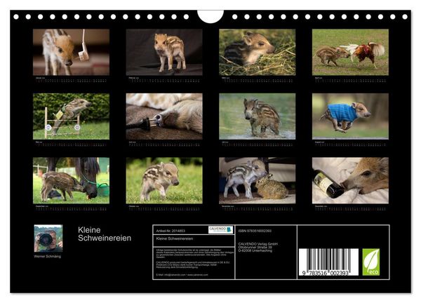 Produktbild: Kleine Schweinereien (Wandkalender 2026 DIN A4 quer), CALVENDO Monatskalender
