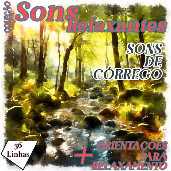 Coleção Sons Relaxantes - sons de córrego - Silvia Strufaldi, Audio, 9798868614408