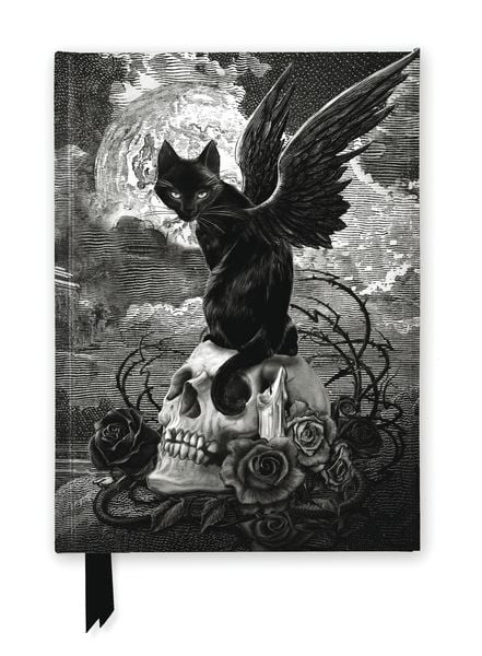Produktbild: Premium Notizbuch DIN A5: Alchemie, Die neun Leben von Poe