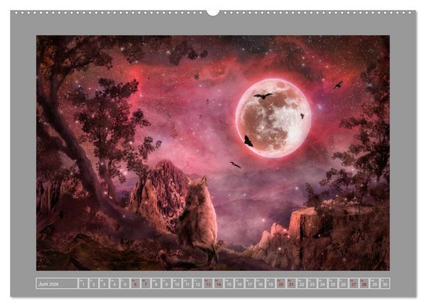 Produktbild: Kleine Streuner (hochwertiger Premium Wandkalender 2026 DIN A2 quer), Kunstdruck in Hochglanz