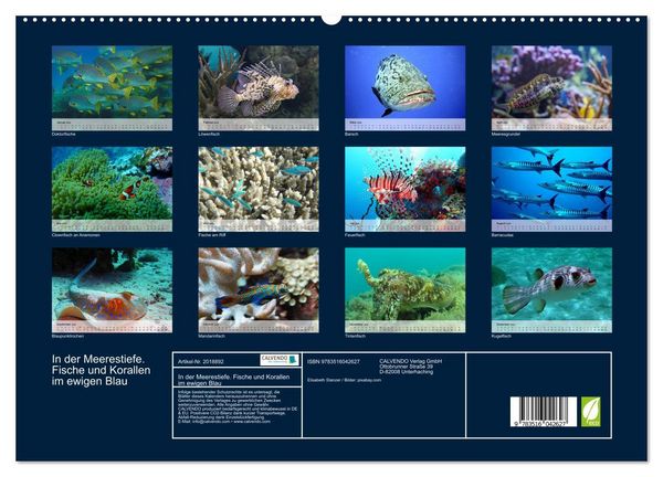 Produktbild: In der Meerestiefe. Fische und Korallen im ewigen Blau (hochwertiger Premium Wandkalender 2026 DIN A2 quer), Kunstdruck in Hochglanz