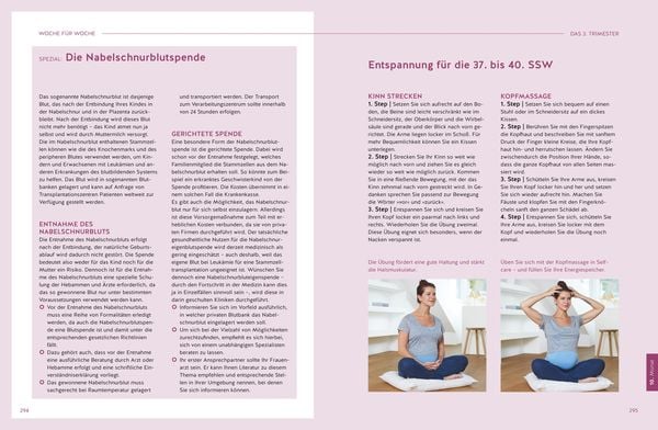 Produktbild: Das gro&szlig;e Buch zur Schwangerschaft