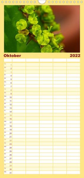 Produktbild: Bl&uuml;tensymphonie - Kakteen und Sukkulenten - Familienplaner hoch (Wandkalender 2022 , 21 cm x 45 cm, hoch)