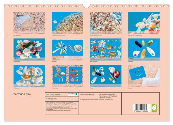 Produktbild: bermuda pink (Wall Calendar 2026 DIN A3 landscape), CALVENDO 12 Month Wall Calendar