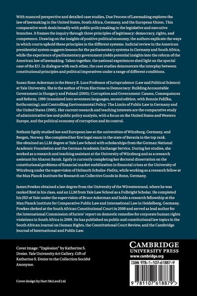 Produktbild: Due Process of Lawmaking