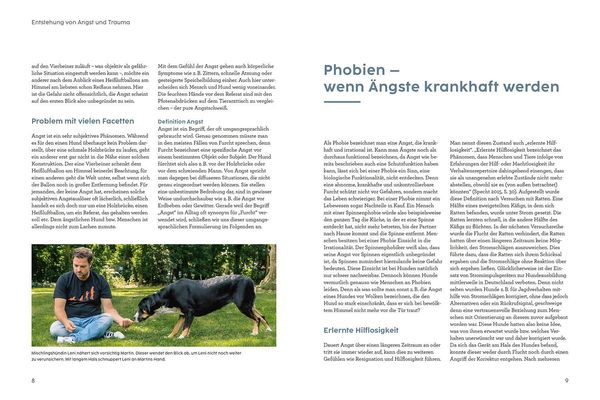 Angst bei Hunden - mit Martin Rütter