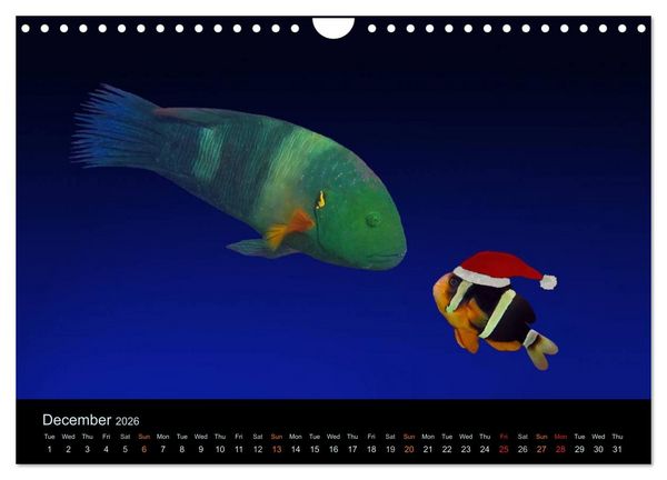 Produktbild: Water Dreams-journey through the sea (Wall Calendar 2026 DIN A4 landscape), CALVENDO 12 Month Wall Calendar