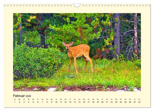 Produktbild: Wild, aber knuffig! (Wandkalender 2026 DIN A3 quer), CALVENDO Monatskalender