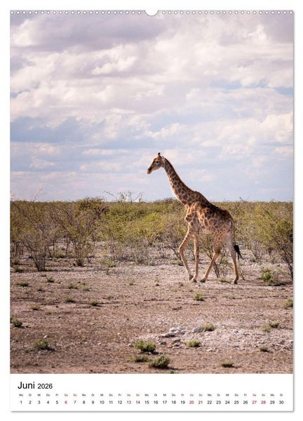 Produktbild: Naturparadies Namibia (hochwertiger Premium Wandkalender 2026 DIN A2 hoch), Kunstdruck in Hochglanz