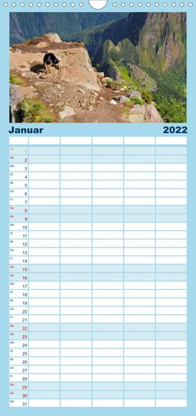 Produktbild: Familienplaner Hunde aus aller Welt (Wandkalender 2022 , 21 cm x 45 cm, hoch)