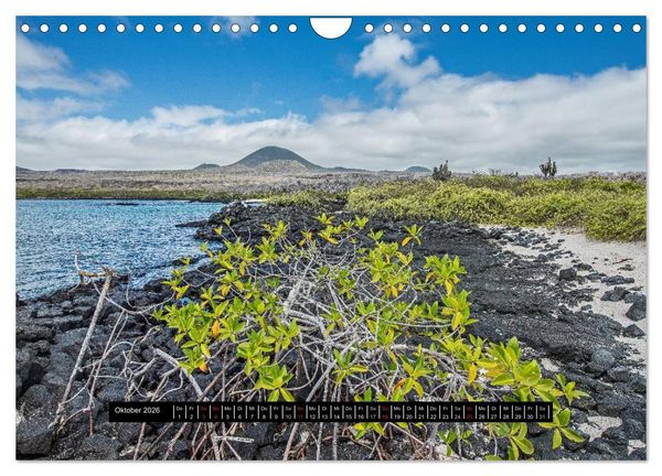Produktbild: Galapagos- Landschaften (Wandkalender 2026 DIN A4 quer), CALVENDO Monatskalender