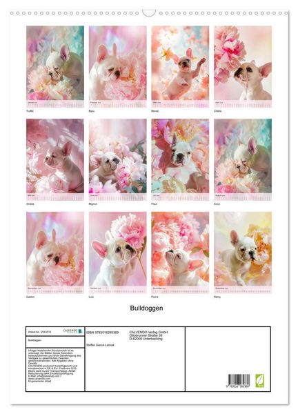 Produktbild: Bulldoggen (Wandkalender 2026 DIN A2 hoch), CALVENDO Monatskalender