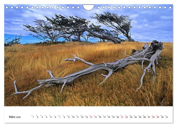 Produktbild: Faszinierendes Patagonien (Wandkalender 2026 DIN A4 quer), CALVENDO Monatskalender