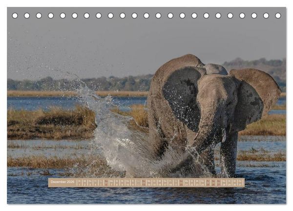 Produktbild: Afrikas Tierwelt - Wilde Elefanten (Tischkalender 2026 DIN A5 quer), CALVENDO Monatskalender