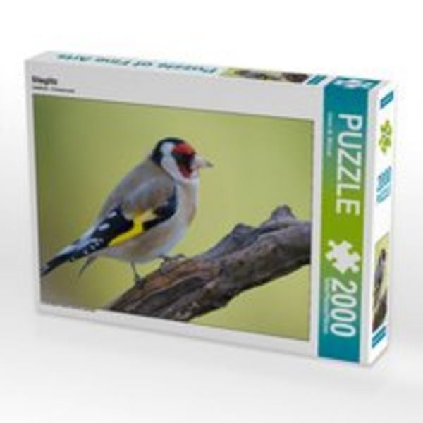 CALVENDO Puzzle Stieglitz 2000 Teile Lege-Größe 90 x 67 cm Foto-Puzzle Bild von Dieter-M. Wilczek