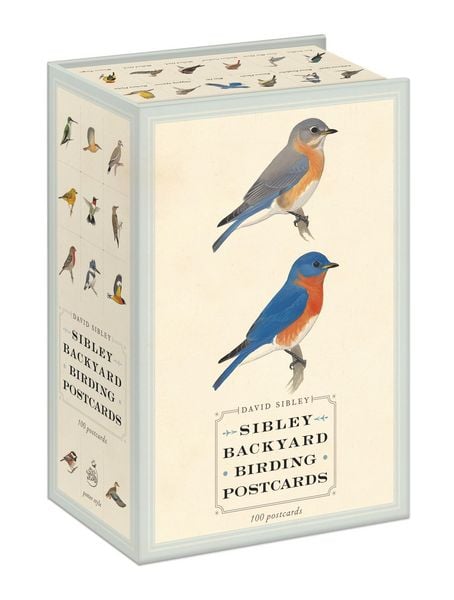 Produktbild: Sibley Backyard Birding Postcards
