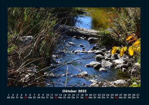 Produktbild: Pflanzen und Bl&uuml;ten 2025 Fotokalender DIN A4