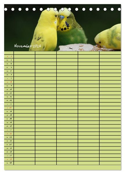 Produktbild: Der Wellensittich-Familienplaner (Tischkalender 2026 DIN A5 hoch), CALVENDO Monatskalender