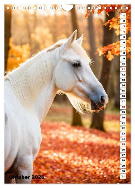 Produktbild: Pferdekalender - Wundersch&ouml;ne Pferde in Natur und Portraits (Wandkalender 2026 DIN A4 hoch), CALVENDO Monatskalender