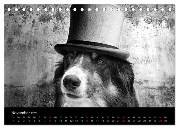 Produktbild: H&uuml;tehunde (Tischkalender 2026 DIN A5 quer), CALVENDO Monatskalender