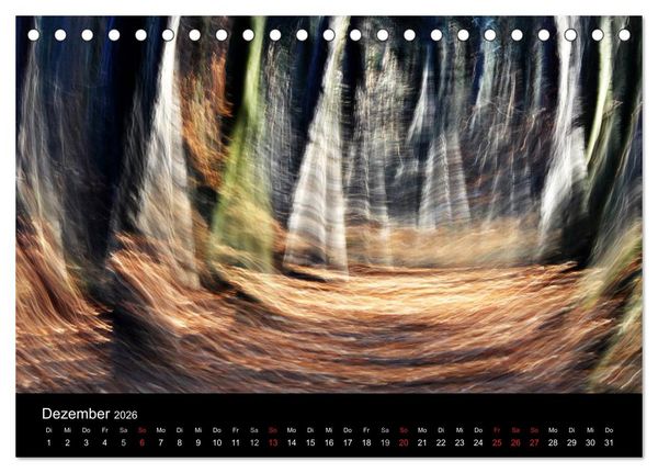 Produktbild: Magischer Wald (Tischkalender 2026 DIN A5 quer), CALVENDO Monatskalender