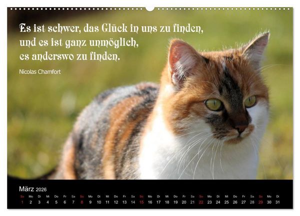 Produktbild: Gl&uuml;ckskatze - Mit Zitaten zum Thema Gl&uuml;ck (Wandkalender 2026 DIN A2 quer), CALVENDO Monatskalender