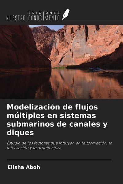 Produktbild: Modelizaci&oacute;n de flujos m&uacute;ltiples en sistemas submarinos de canales y diques