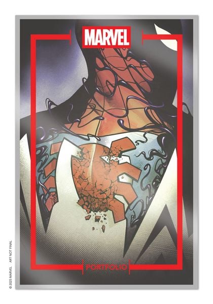 Produktbild: The Marvel Portfolio of Mike del Mundo - Spider-Man