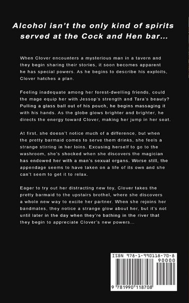 Produktbild: The Mage's Spell. An Erotic Fairytale