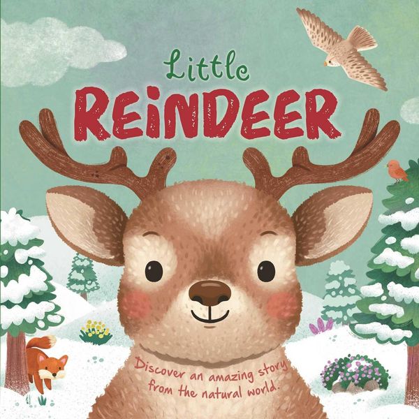 Produktbild: Nature Stories: Little Reindeer