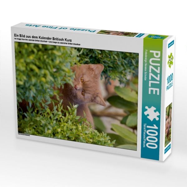 Produktbild: CALVENDO Puzzle Ein Bild aus dem Kalender Britisch Kurz | 1000 Teile Lege-Gr&ouml;&szlig;e 64x48cm Foto-Puzzle f&uuml;r gl&uuml;ckliche Stunden