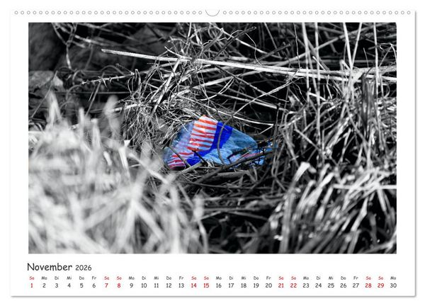Produktbild: Gestrandet -Treibgut- (hochwertiger Premium Wandkalender 2026 DIN A2 quer), Kunstdruck in Hochglanz