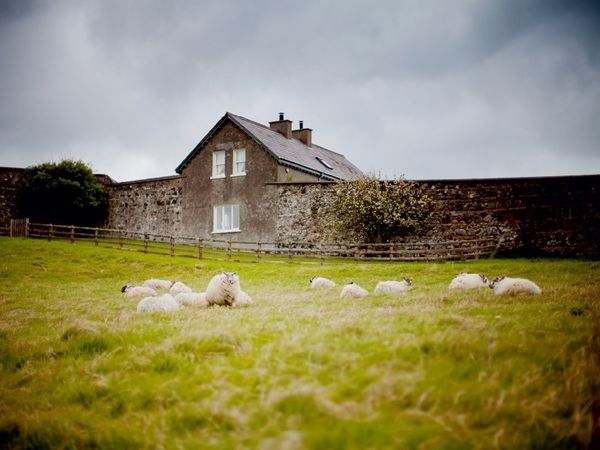 Produktbild: CALVENDO Puzzle Schafe bei Castlerock / Nordirland 1000 Teile Puzzle quer | 1000 Teile Lege-Gr&ouml;&szlig;e 64 &times; 48 cm Foto-Puzzle f&uuml;r gl&uuml;ckliche Stunden