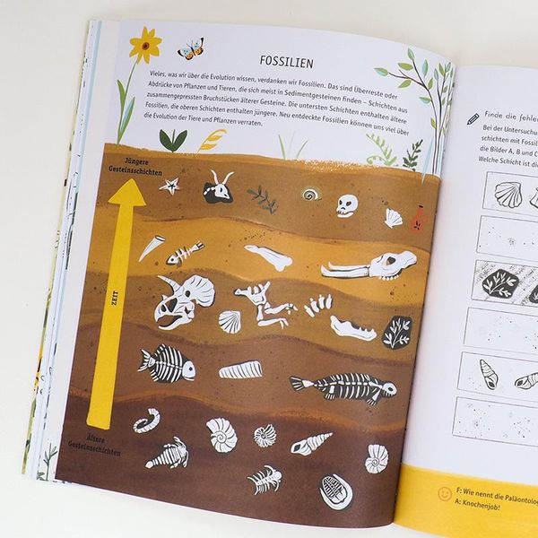 Produktbild: Evolution - Ein Mitmachbuch