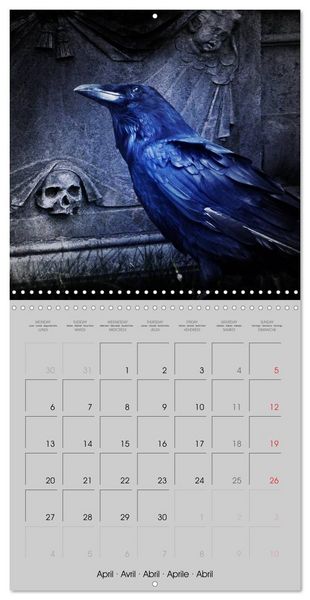Produktbild: Kisses of dark dreams (Wall Calendar 2026 12 &times; 12 Inch) CALVENDO 12 Month Wall Calendar