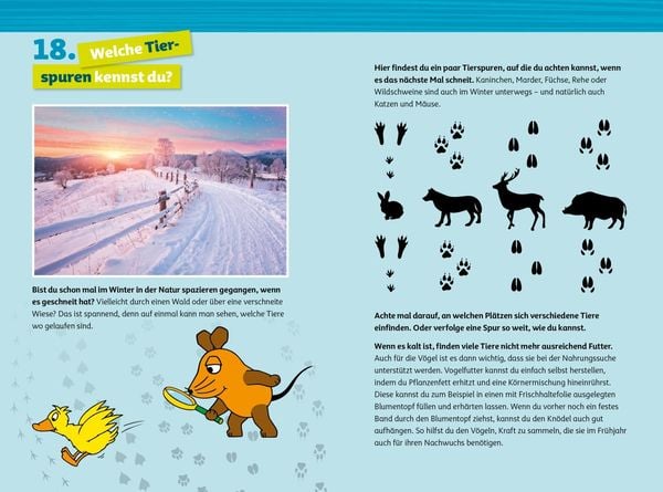 Produktbild: Frag doch mal ... die Maus: Der Adventskalender 2025