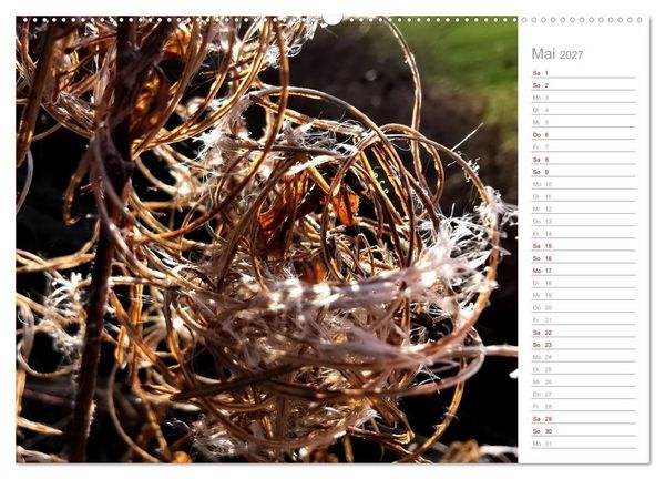 Produktbild: Abstrakte Umwelt (Wandkalender 2027 DIN A2 quer), CALVENDO Monatskalender
